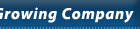 custom programming, online marketing, and hosting services